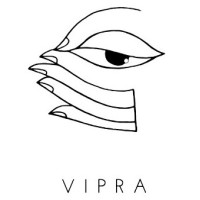 Vipra Simulation Services logo, Vipra Simulation Services contact details