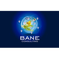 Bane Consulting logo, Bane Consulting contact details