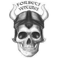 Forseti Ventures, Inc. logo, Forseti Ventures, Inc. contact details