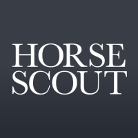 Horse Scout Group logo, Horse Scout Group contact details