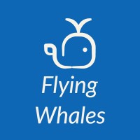 Flying Whales logo, Flying Whales contact details