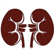 Delmarva Kidney and Hypertension Specialists LLC logo, Delmarva Kidney and Hypertension Specialists LLC contact details