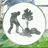 Sam Navarra Landscaping logo, Sam Navarra Landscaping contact details