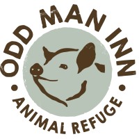 ODD MAN INN ANIMAL REFUGE logo, ODD MAN INN ANIMAL REFUGE contact details