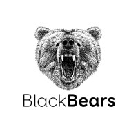 BlackBears Digital Agency logo, BlackBears Digital Agency contact details