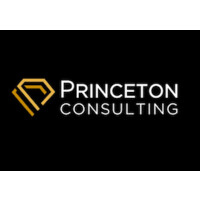 Princeton Consulting logo, Princeton Consulting contact details