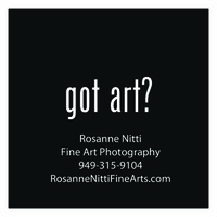 Rosanne Nitti Fine Arts logo, Rosanne Nitti Fine Arts contact details