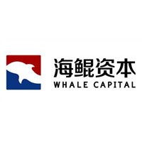 Whale Capital logo, Whale Capital contact details