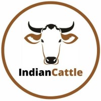 IndianCattle logo, IndianCattle contact details