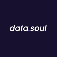 Data Soul logo, Data Soul contact details