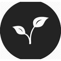 Rooted Early Career Coaching logo, Rooted Early Career Coaching contact details