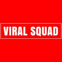 Viral Squad LLP logo, Viral Squad LLP contact details