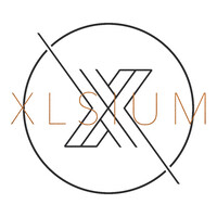 XLsium Groupe Conseils logo, XLsium Groupe Conseils contact details