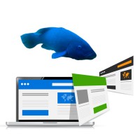 Bluegroper Web Development logo, Bluegroper Web Development contact details