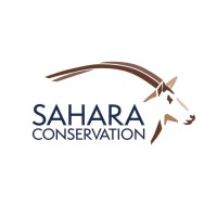 SAHARA CONSERVATION FUND - Europe logo, SAHARA CONSERVATION FUND - Europe contact details