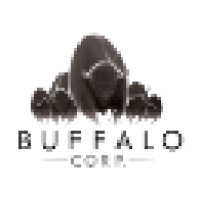 Buffalo Corp logo, Buffalo Corp contact details