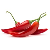 Chilli Recruitment logo, Chilli Recruitment contact details