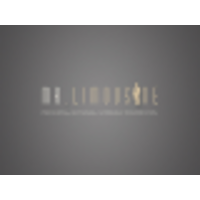 Mr. Limousine logo, Mr. Limousine contact details