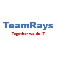 Team Rays, LLC logo, Team Rays, LLC contact details