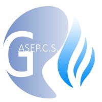 Gasepec logo, Gasepec contact details