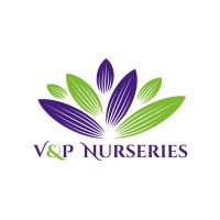 V&P Nurseries logo, V&P Nurseries contact details