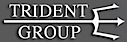 Trident Group Llc logo, Trident Group Llc contact details