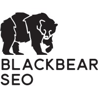 Black Bear SEO logo, Black Bear SEO contact details