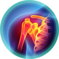 SAN DIEGO SHOULDER INSTITUTE logo, SAN DIEGO SHOULDER INSTITUTE contact details