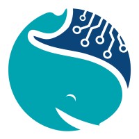 White Whales logo, White Whales contact details