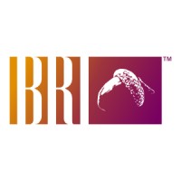 BRI Associates logo, BRI Associates contact details