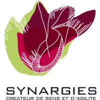 SYNARGIES SAS logo, SYNARGIES SAS contact details