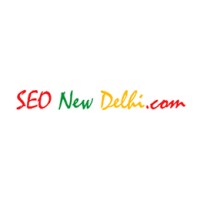 SEO New Delhi logo, SEO New Delhi contact details