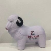 Fordham Housing logo, Fordham Housing contact details