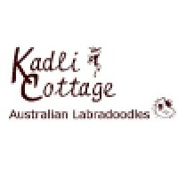 Kadli Cottage Australian Labradoodles logo, Kadli Cottage Australian Labradoodles contact details