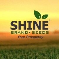 Shine Brand Seeds logo, Shine Brand Seeds contact details