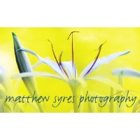 Matthew Syres Photography logo, Matthew Syres Photography contact details