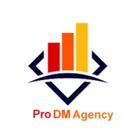 Pro Digital Marketing Agency logo, Pro Digital Marketing Agency contact details