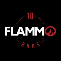 Flammo - Agência de SEO logo, Flammo - Agência de SEO contact details