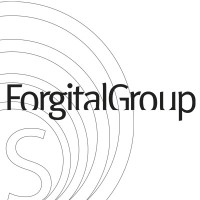 Forgital Italy S.P.A. logo, Forgital Italy S.P.A. contact details