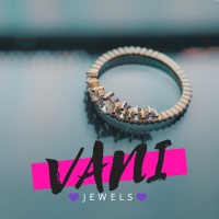 The Vani Jewels logo, The Vani Jewels contact details