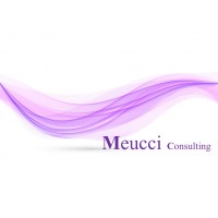 Meucci Consulting Group logo, Meucci Consulting Group contact details