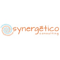 Synergetico Consulting logo, Synergetico Consulting contact details