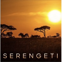 Serengeti Restaurant - Auckland logo, Serengeti Restaurant - Auckland contact details