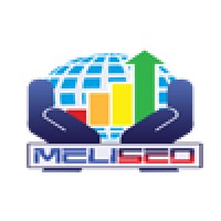 MeliSEO Services logo, MeliSEO Services contact details