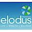 Elodus Financial Planning logo, Elodus Financial Planning contact details