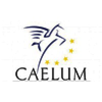 Caelum Music Production, LLC logo, Caelum Music Production, LLC contact details