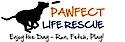 Pawfect Life Rescue logo, Pawfect Life Rescue contact details