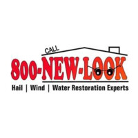 800 New Look logo, 800 New Look contact details