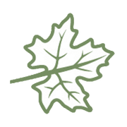 MAPLE LEAF PHYSICAL THERAPY PLLC logo, MAPLE LEAF PHYSICAL THERAPY PLLC contact details