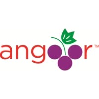 Angooor.com logo, Angooor.com contact details